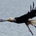 Russ Cavanaugh - Facebook
