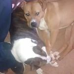 Russell E Cooley - @ruttone26 - Instagram