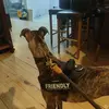 Russell Coyne - @russellcoyne - TikTok