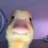 russellcummins5 - @russellcummins1 - TikTok