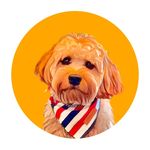 Russell Donovan - @therealrustyd - Instagram