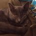 Russell Dunlap - Facebook