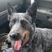 Russell Dunlap - Facebook