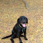 Russell Eadie - Facebook