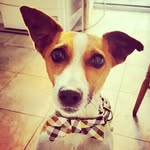 Alfie Russell Lord Farrell - @alfierusselllordfarrell - Instagram