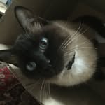 Russell Farrell - @farrell_noid - Instagram