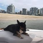 Russell Field - @russell.field.921 - Instagram