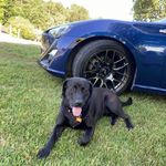 Russell Fields - @not.low.frs - Instagram