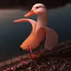 Rusty.guy - @russell.fishin - TikTok