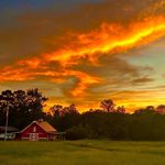 Russell Floyd - @russell_z1 - Instagram