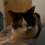 Russell - @russell_freer - Instagram