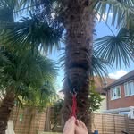 Russell Gooderham - @russellgooderham - Instagram