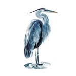Russell Granger - @blueheronweb - Instagram