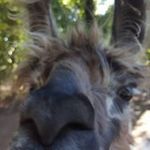 Russell Griffith - @grifco23 - Instagram