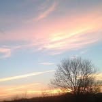 Guy Russell - @guy.russell.376 - Instagram