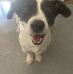 Russ Guy - Facebook