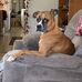 Randee Russell Halstead - Facebook
