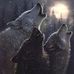 Russell Halstead - Facebook