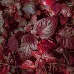 Russell Harder - @rvussell_harder - Instagram
