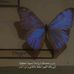 Russell Hashem - Facebook