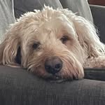 Erma Russell Hedges - @world_ofjasper - Instagram