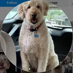 Erma Russell Hedges - @hedgesermarussell - Instagram