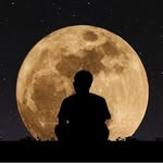 Russell Herbert - @russell.herbert.1426 - Instagram