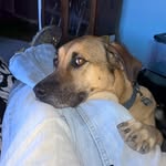 Russell Herbert - @russellherbert - Instagram