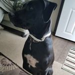 diesel Eigene Russell Holbrook - @dieseleigene4 - Instagram
