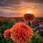 Russel Howell - @russellhowell566 - Instagram