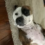 Russell Huff - Facebook