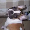 russell huffman - @russell.huffman - TikTok
