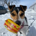 Maggy - @la_belle_russell - Instagram