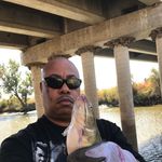 Russell Lanier - @russell315lb - Instagram
