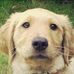 Russell Lapham - Facebook