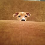Leya Winers - @leyawiners_russell - Instagram