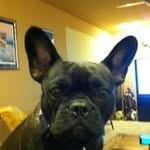 @macpherson.russell - Instagram