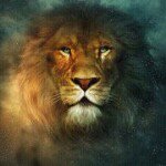 Russell Mapes - @russellmapes - Instagram
