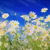 Russell Maple - @russell.maple78 - TikTok