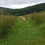 Russell Marsh - @russell.marsh.96 - Instagram