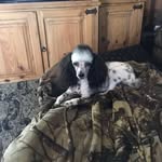 Russell Mcbride - @russell.mcbride.5 - Instagram
