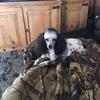 russellmcbride697 - @russellmcbride697 - TikTok