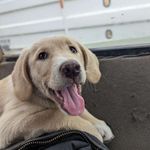 Russell McFaul - @russ.mcfaul - Instagram