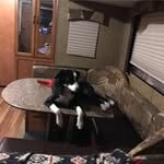 Russell Mckee - @george.r.mckee55 - Instagram