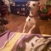 Russell Melancon - Facebook