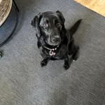 Russell Melanson - @russellkmelanson - Instagram