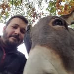 russell moore - @moggyroe_russ - Instagram