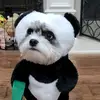 Russell Moore - @user8162081047485 - TikTok