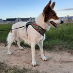 Russell Moss - @russell.moss.39 - Instagram