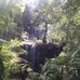 Russell Falls, Mount Field National Park - Facebook